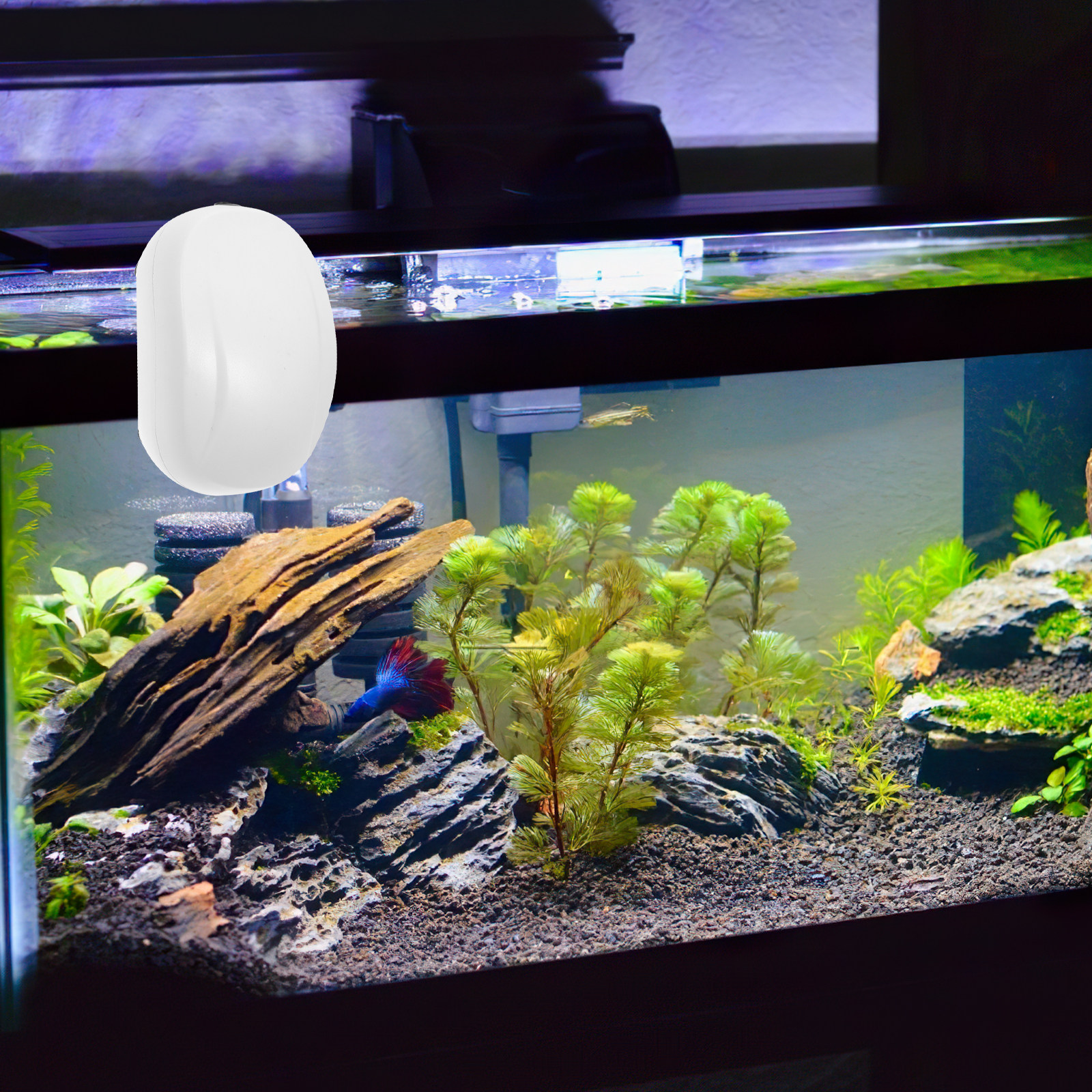 All Fish In Aquarium - Mini USB Aquarium Air Pump Lightweight