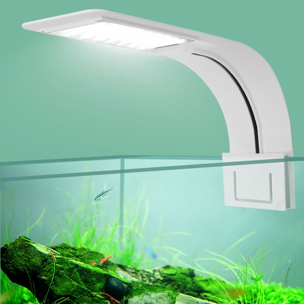 Aquarium Fish With Long Lifespan - LED Aquarium Light for Fish Tank