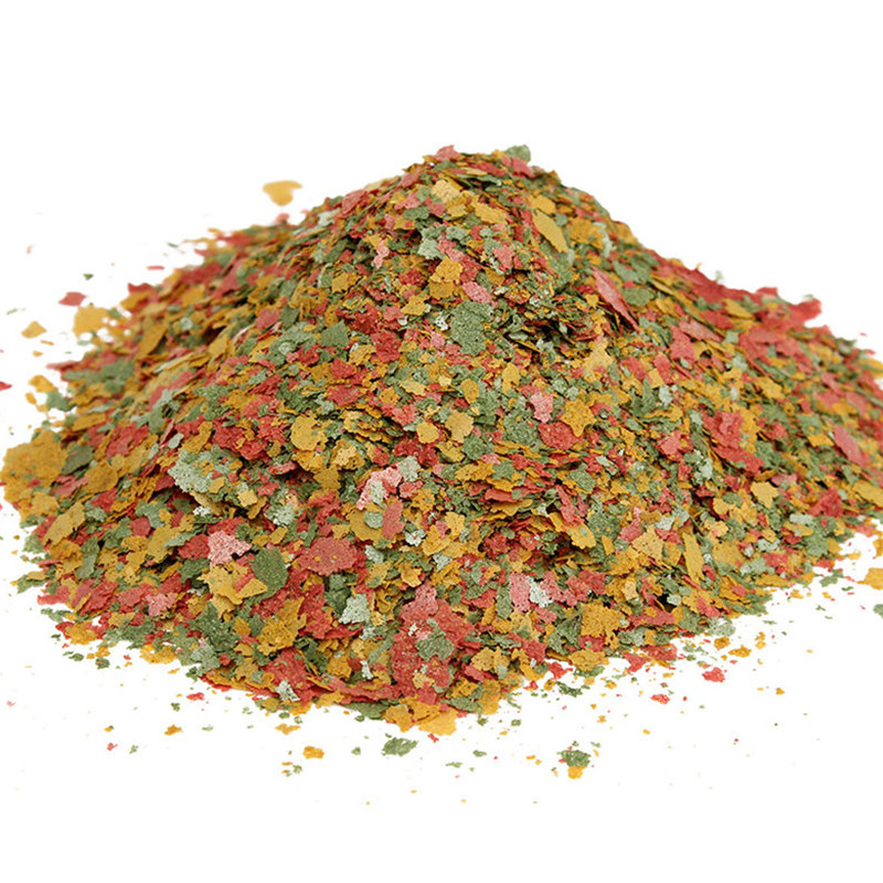 Aquarium Fish Angel - Ornamental Fish Thin Slice Food Tropical