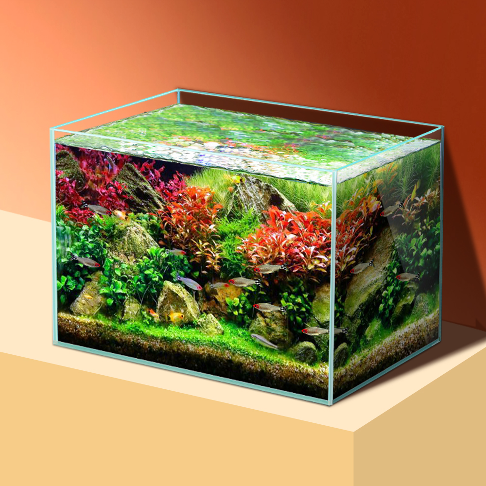 All Fish In Aquarium - sttl Yee Pet Product Supplies Tank