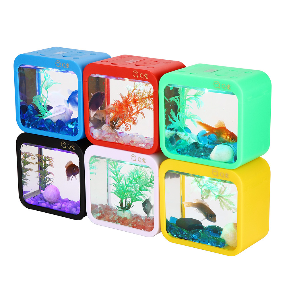 Colorful Creative Betta Box Wi – обзор и цена Aquarium Fish Jar