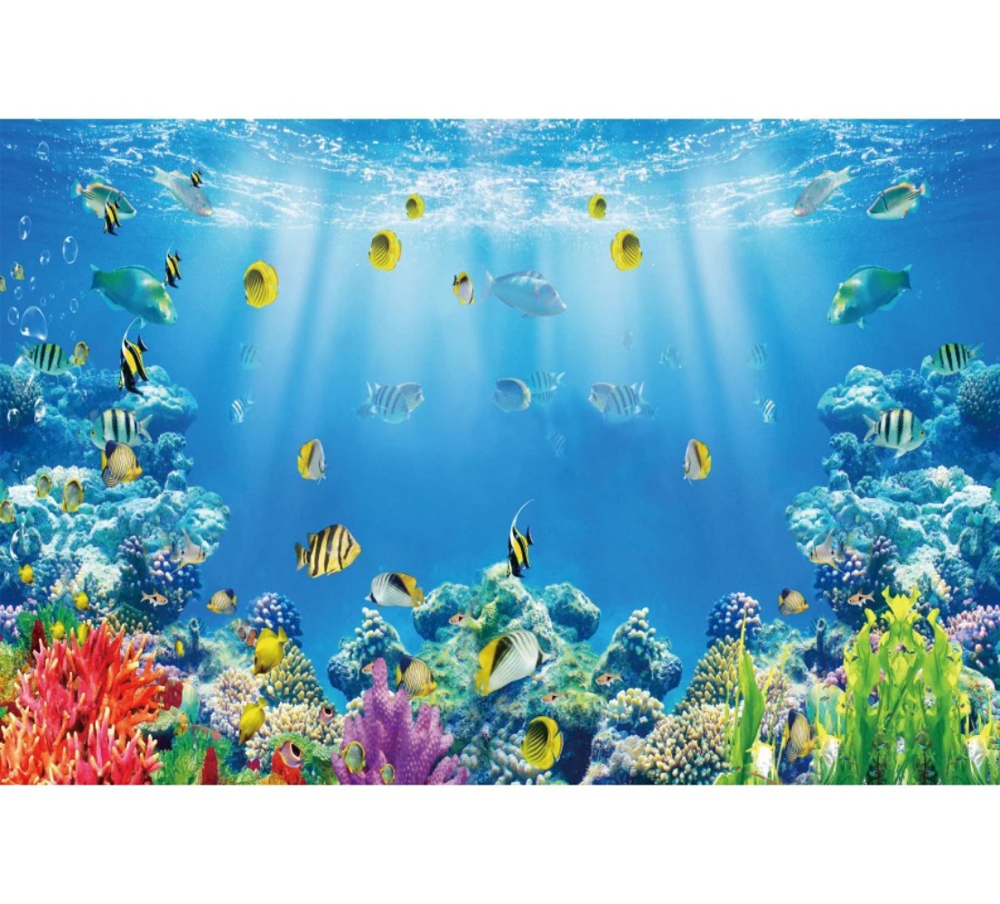 Underwater World Fish Coral Aq – обзор и цена Aquarium Fish World
