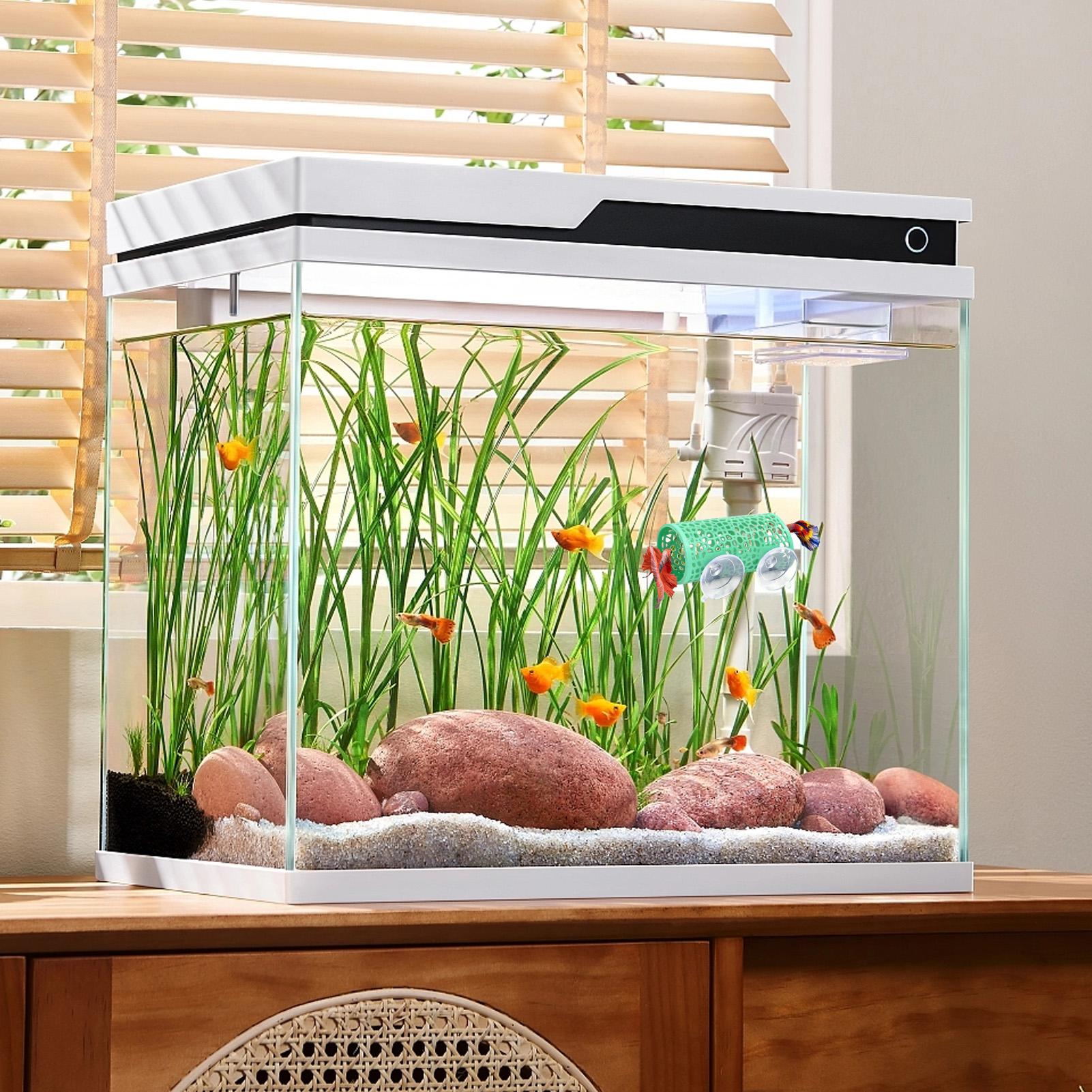Betta Habitat Resting Shelter  – обзор и цена Aquarium Fish Youtube