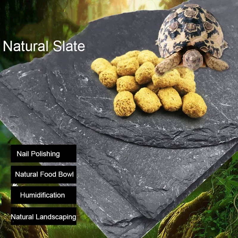 Natural Slate Aquarium Pet Rep – обзор и цена Aquarium Fish Food