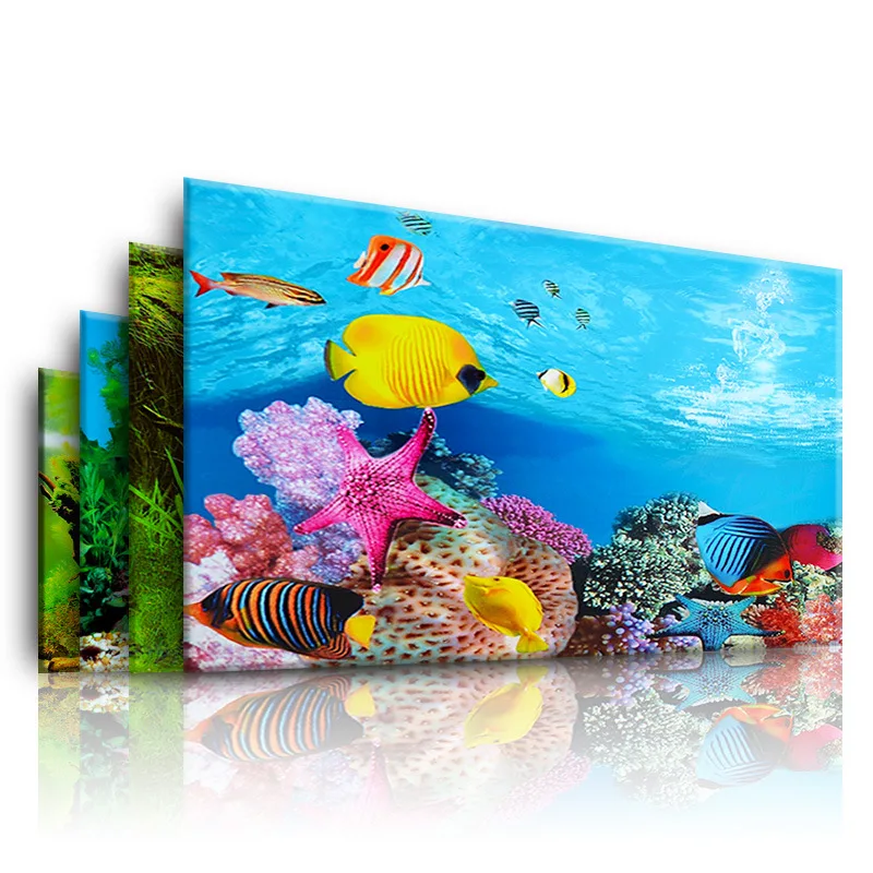 Background for Aquarium 3d  St – обзор и цена Aquarium Fish For Sale Online