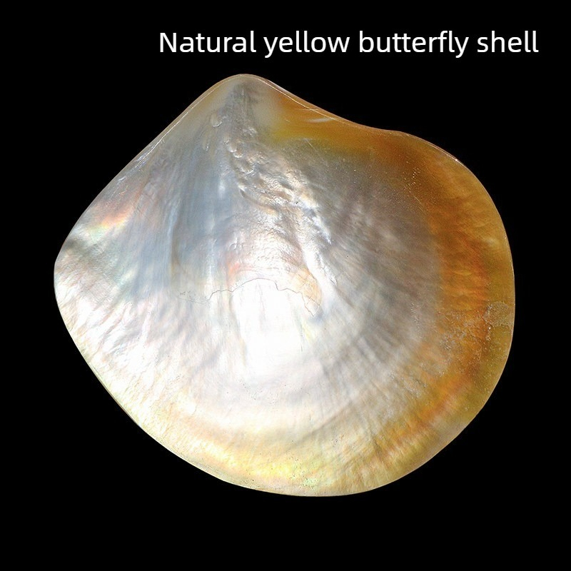Natural Yellow Butterfly Beibe – обзор и цена Aquarium Fish Yellow