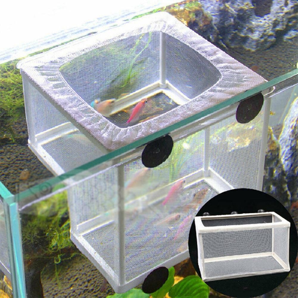 Aquarium Fish Breeder Box with – обзор и цена Aquarium Fish Jar