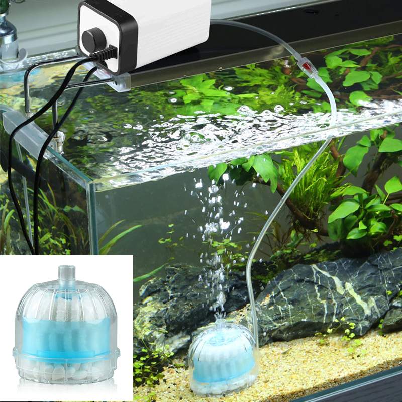 Mini Aquarium Spong Filter Air – обзор и цена Aquarium Fish Jar