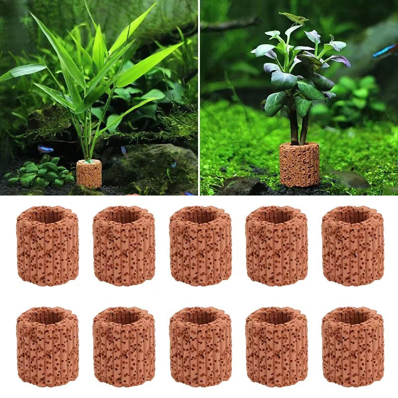 Aquatic Plant Fixed Ring for A – обзор и цена Aquarium Fish For Sale Online