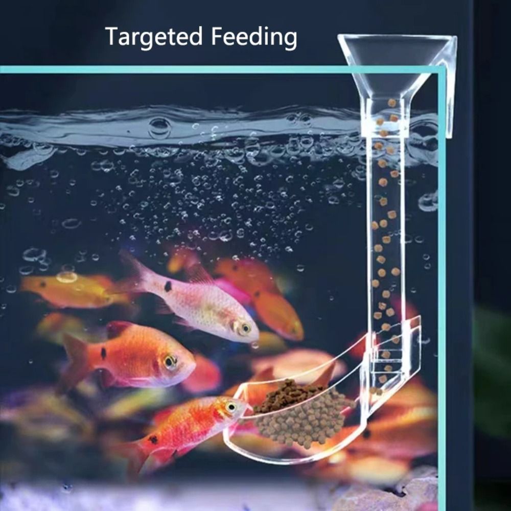Transparent Aquarium Fish Tank – обзор и цена Aquarium Fish Food