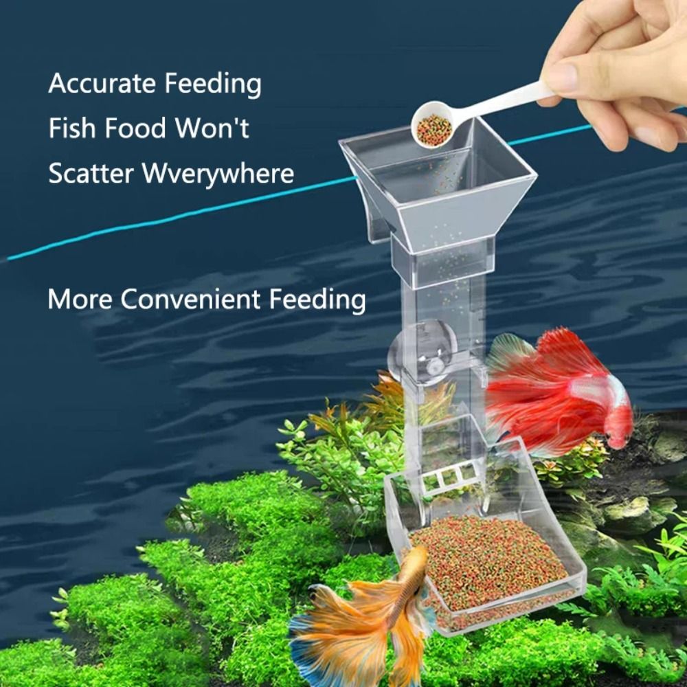 Transparent Aquarium Fish Tank – обзор и цена Aquarium Fish Food
