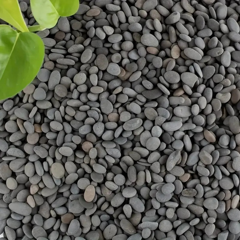 20Pcs Natural River Rocks Smoo – обзор и цена Aquarium Fish Gallery