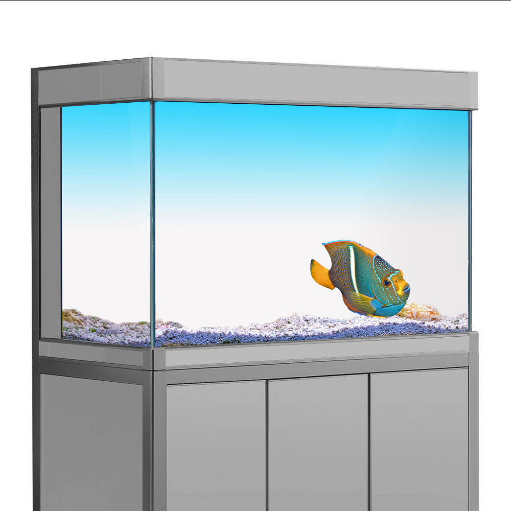 Fish Tank Background Sticker W – обзор и цена Aquarium Fish Yellow