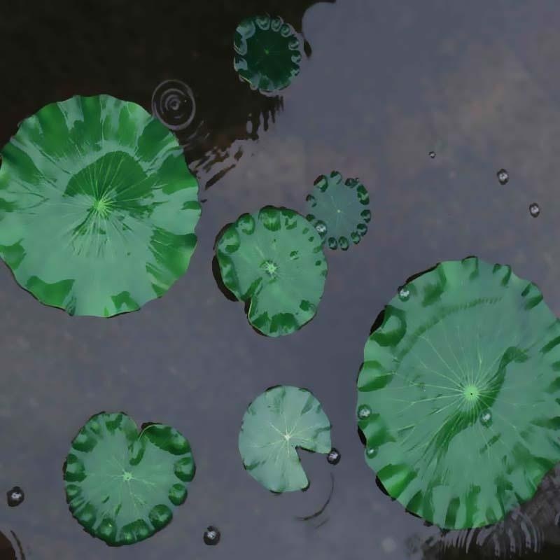 2026 Artificial Water Lily Lot – обзор и цена Aquarium Fish Gallery