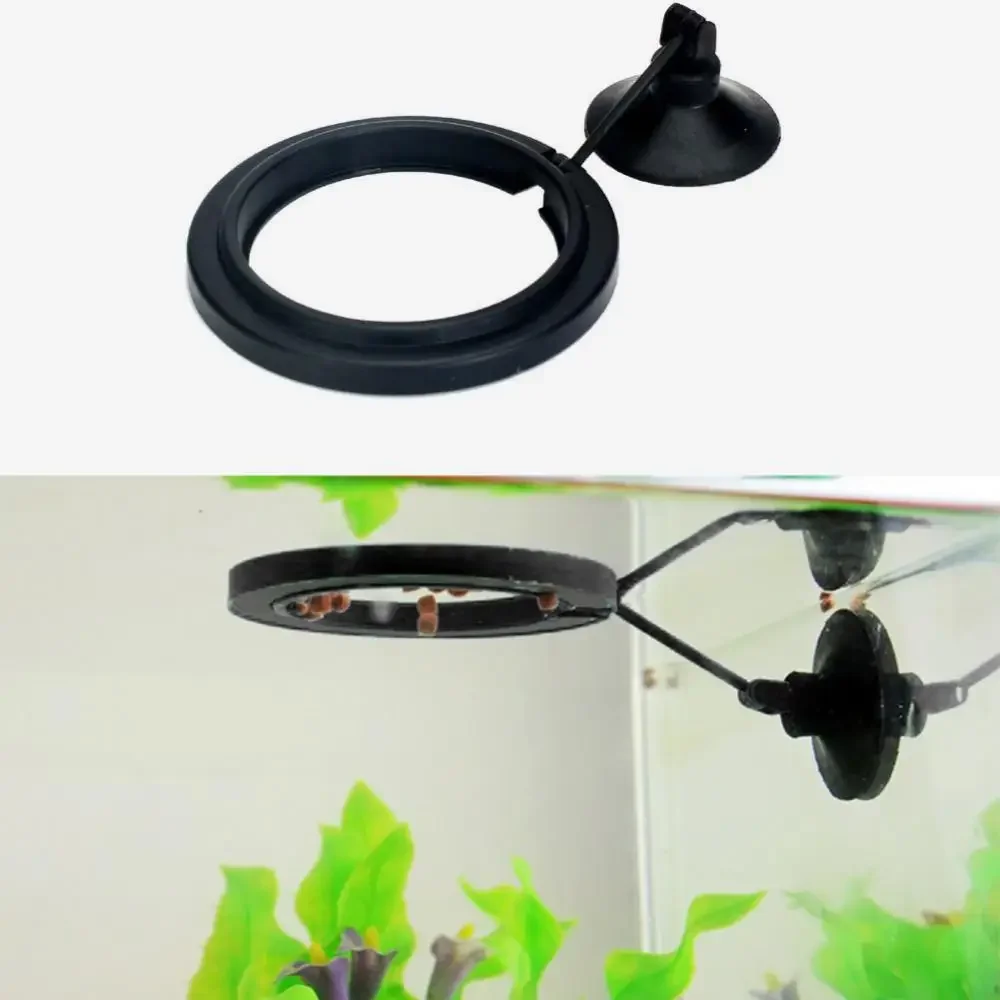 Feed Suction Cup Aquarium Feed – обзор и цена Aquarium Fish Food