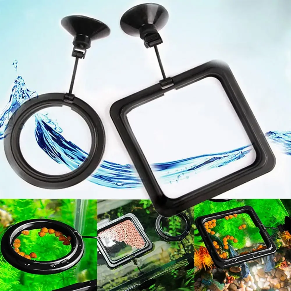 Feed Suction Cup Aquarium Feed – обзор и цена Aquarium Fish Food
