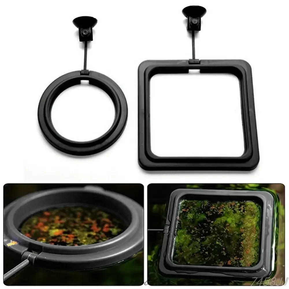 Feed Suction Cup Aquarium Feed – обзор и цена Aquarium Fish Food