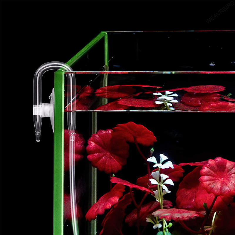Aquarium U Shaped Air Pipe Con – обзор и цена Aquarium Fish Youtube
