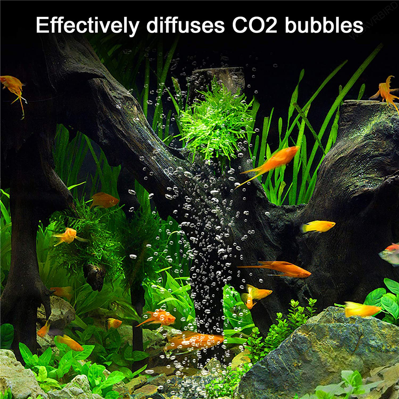 Aquarium U Shaped Air Pipe Con – обзор и цена Aquarium Fish Youtube