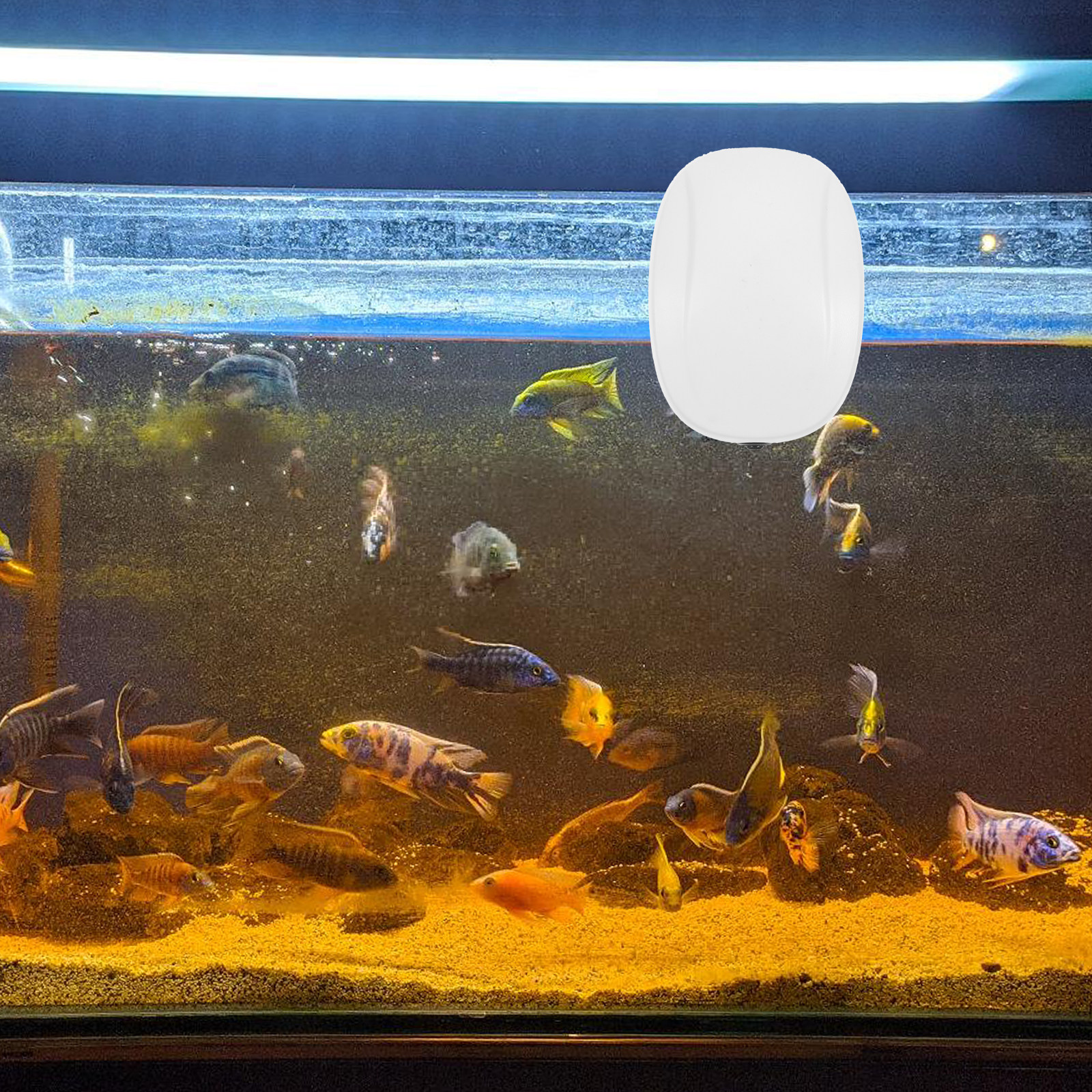 Mini USB Aquarium Air Pump Lig – обзор и цена All Fish In Aquarium