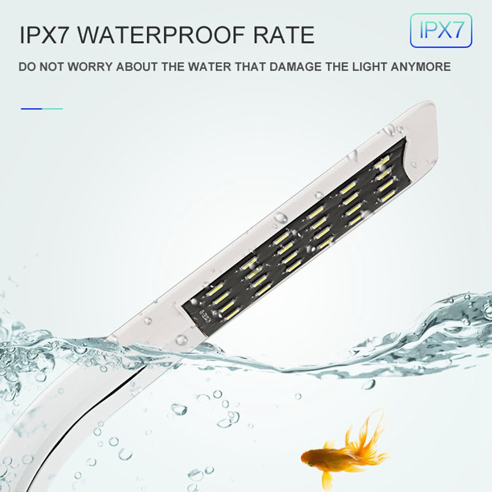 LED Aquarium Light for Fish Ta – обзор и цена Aquarium Fish With Long Lifespan
