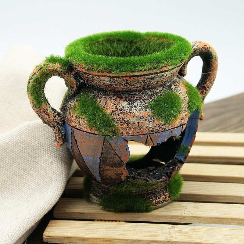 1pc Resin Vase with Moss Aquar – обзор и цена Aquarium Fish For Sale Online