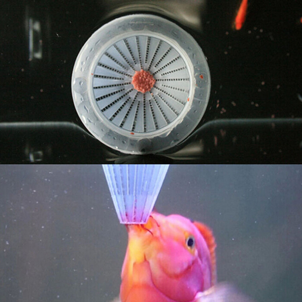 1Pc Feeding Cup Aquarium Baske – обзор и цена Aquarium Fish Angel