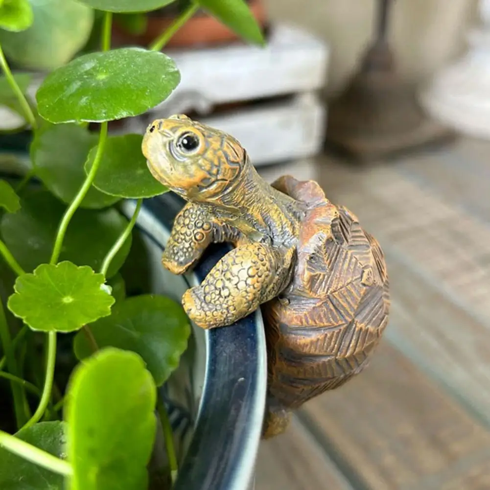 Fishing Turtle Hanging Turtle  – обзор и цена Aquarium Fish Gallery