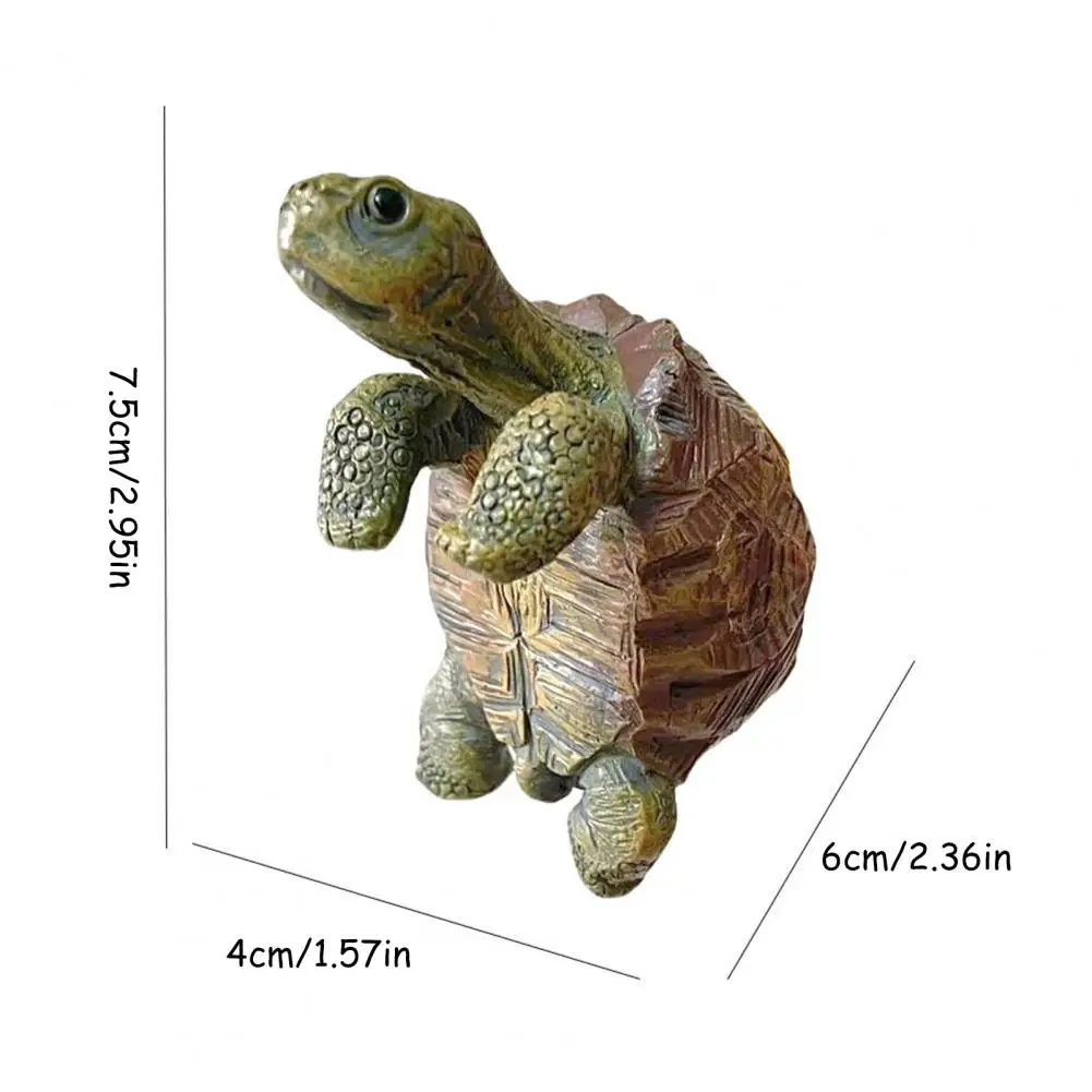Fishing Turtle Hanging Turtle  – обзор и цена Aquarium Fish Gallery
