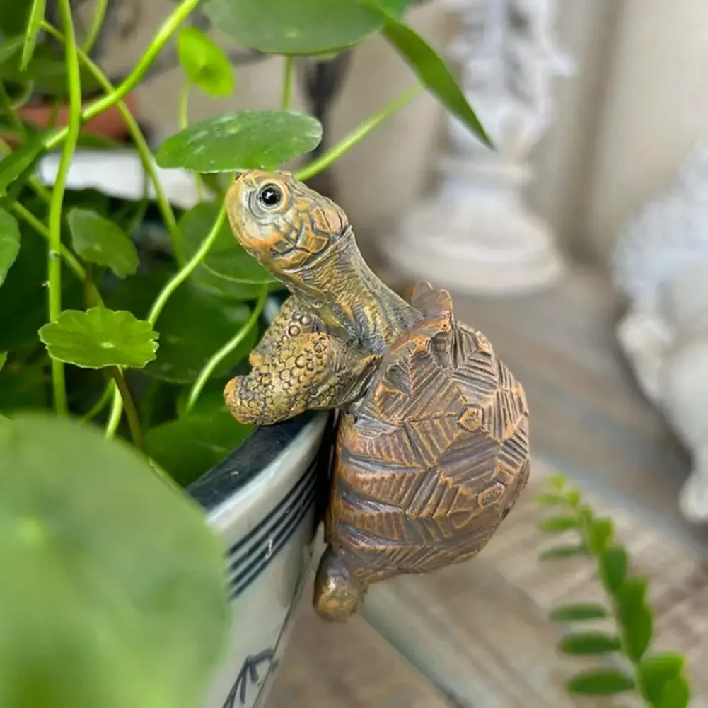 Fishing Turtle Hanging Turtle  – обзор и цена Aquarium Fish Gallery
