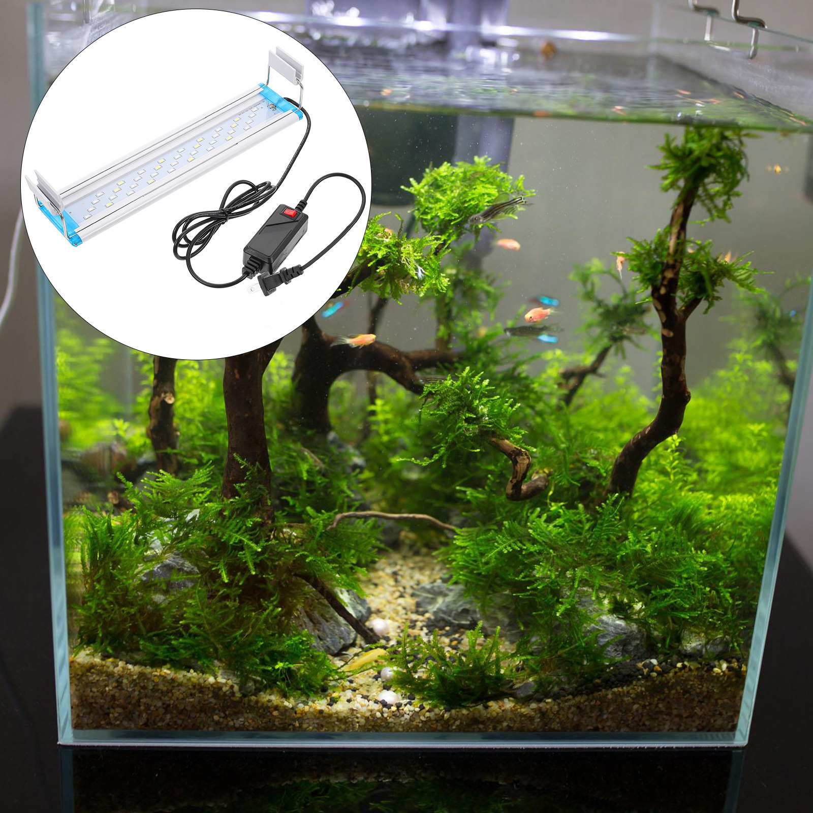 Tricolor LED Aquarium Light Hi – обзор и цена Aquarium Fish With Long Lifespan