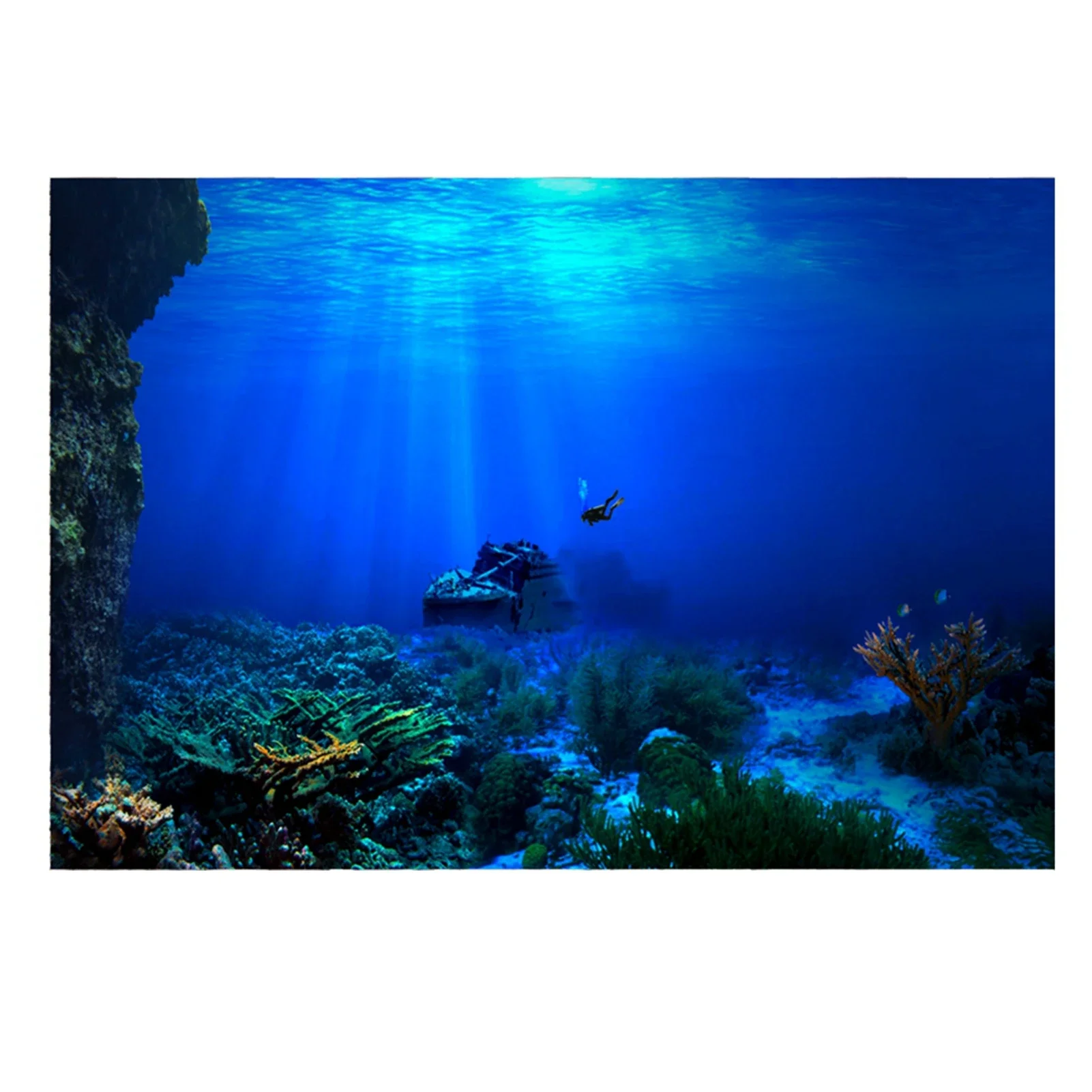 Rainforest Aquarium Background – обзор и цена Aquarium Fish World