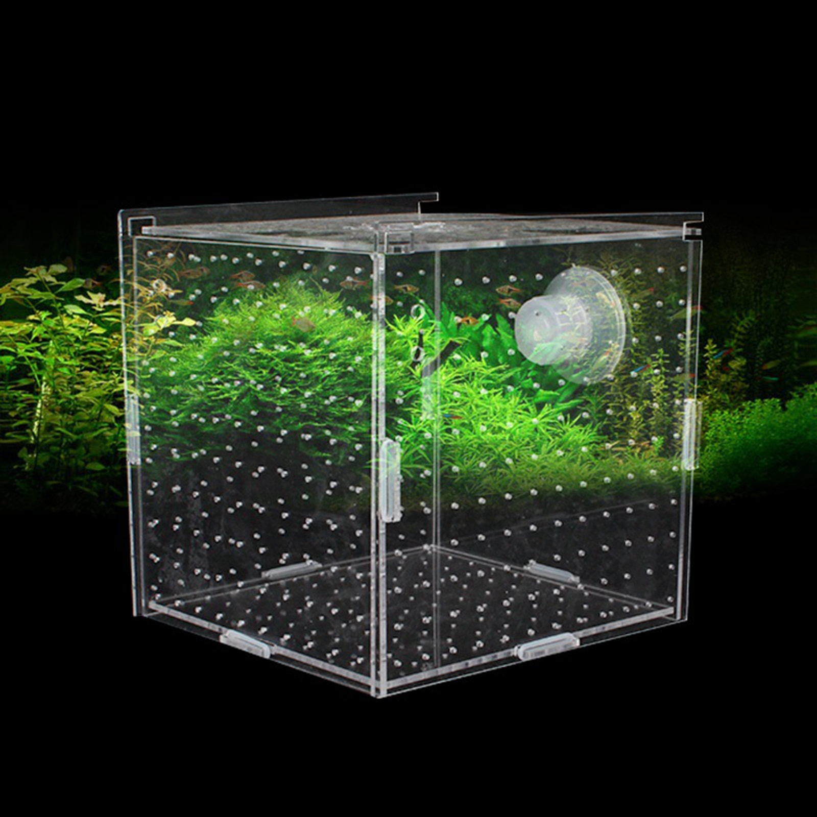 Fish Breeder Box Clear Durable – обзор и цена Aquarium Fish Jar