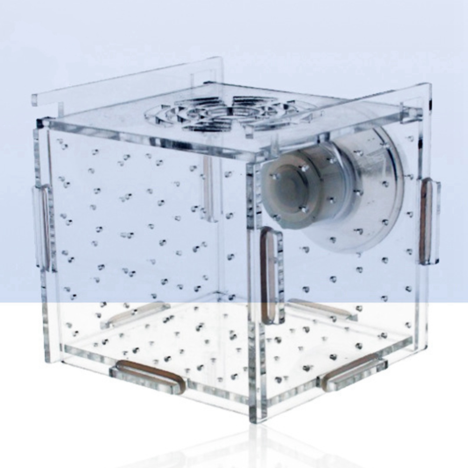Fish Breeder Box Clear Durable – обзор и цена Aquarium Fish Jar