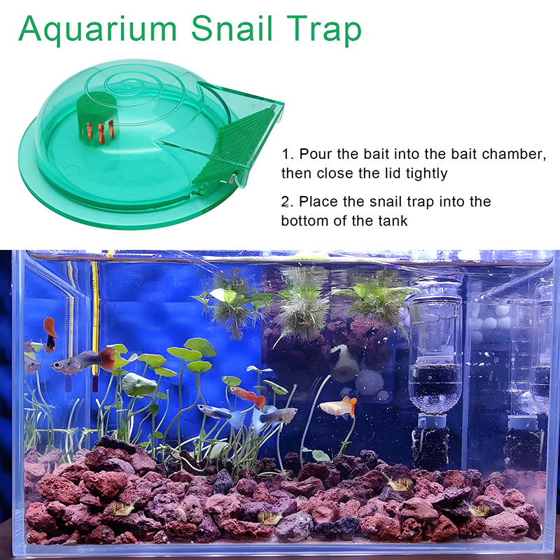 Aquarium Snail Trap, Plastic S – обзор и цена Aquarium Fish Jar