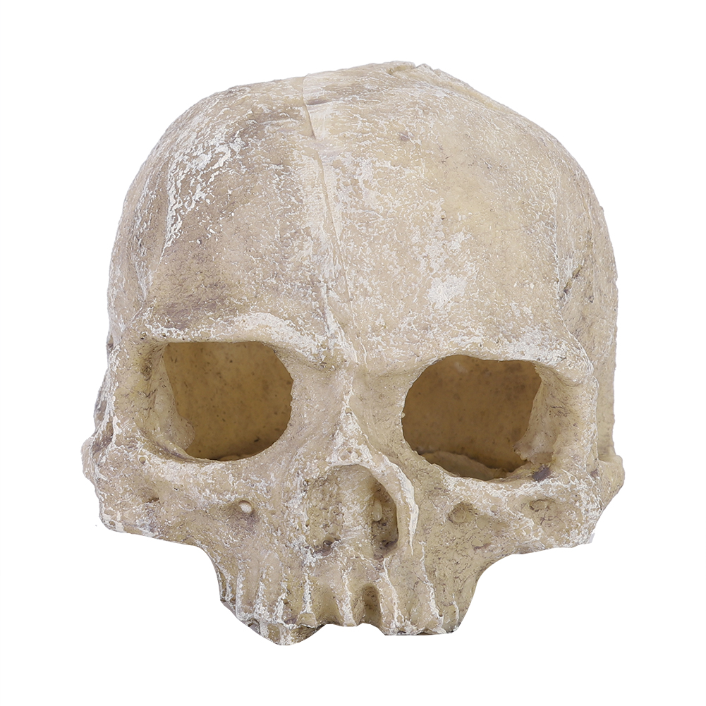 Resin Simulated Head Bone Skul – обзор и цена Aquarium Fish Gallery