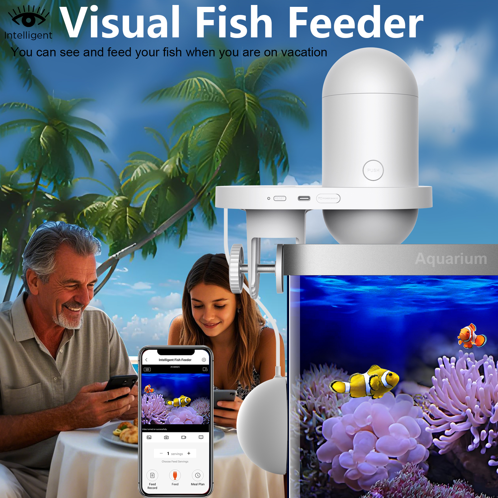 Automatic Fish Feeder With Cam – обзор и цена Aquarium Fish Food