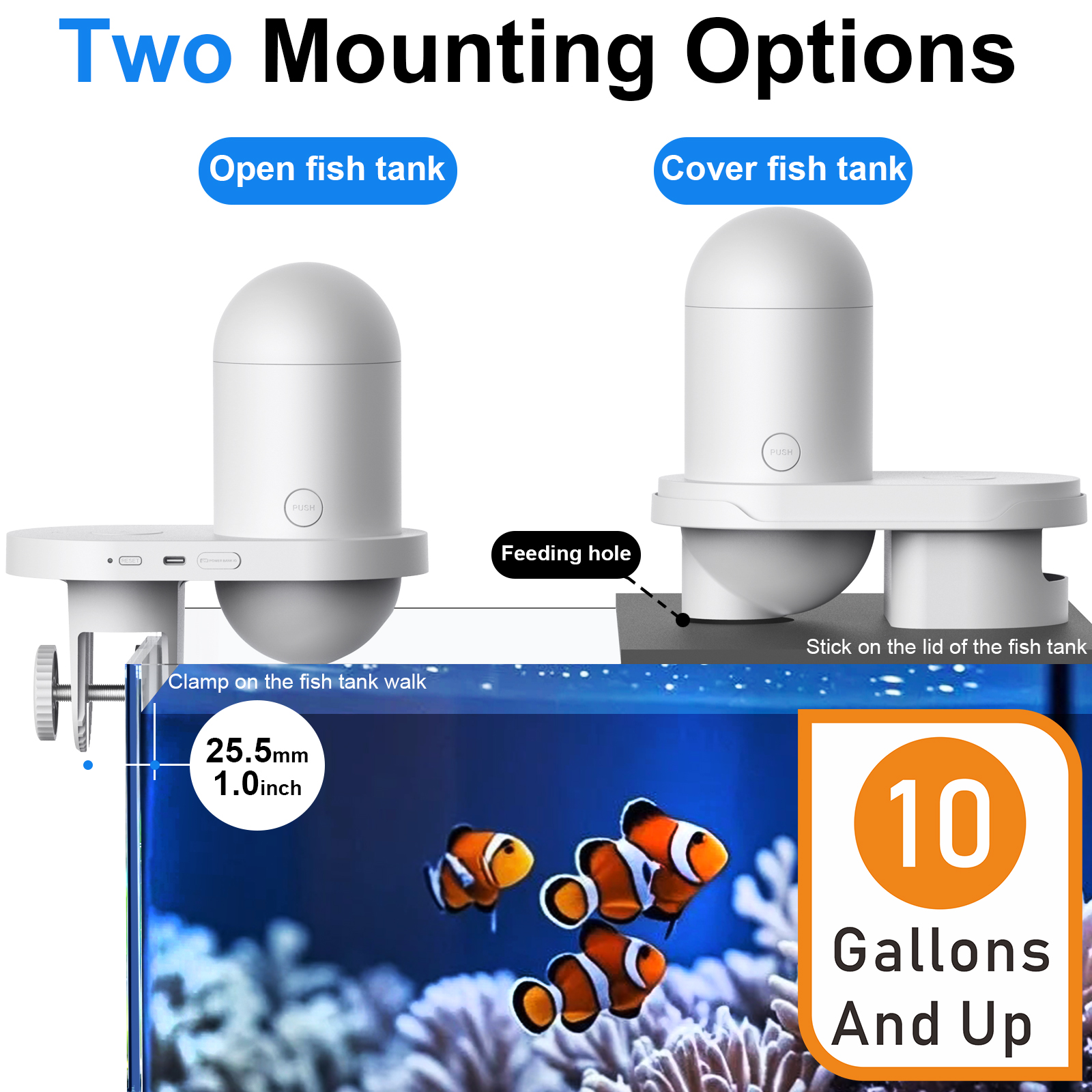 Automatic Fish Feeder With Cam – обзор и цена Aquarium Fish Food