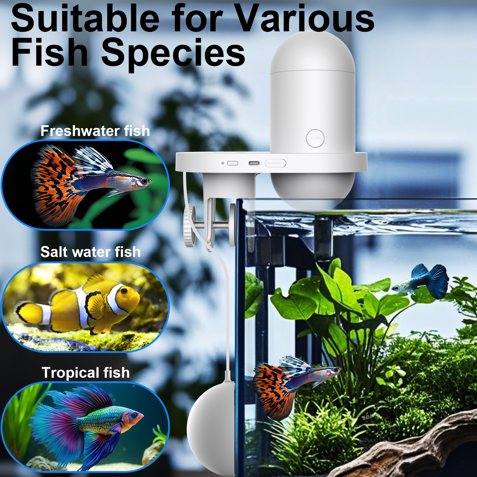 Automatic Fish Feeder With Cam – обзор и цена Aquarium Fish Food