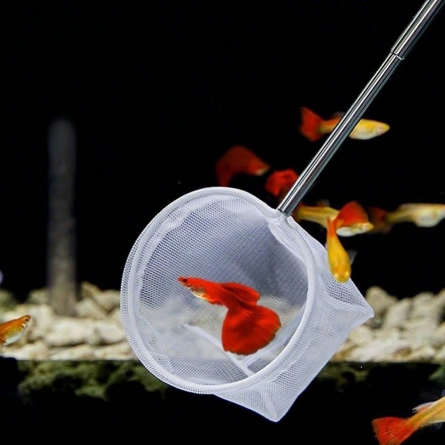 Aquarium Fish Net - a Retracta – обзор и цена Aquarium Fish Food