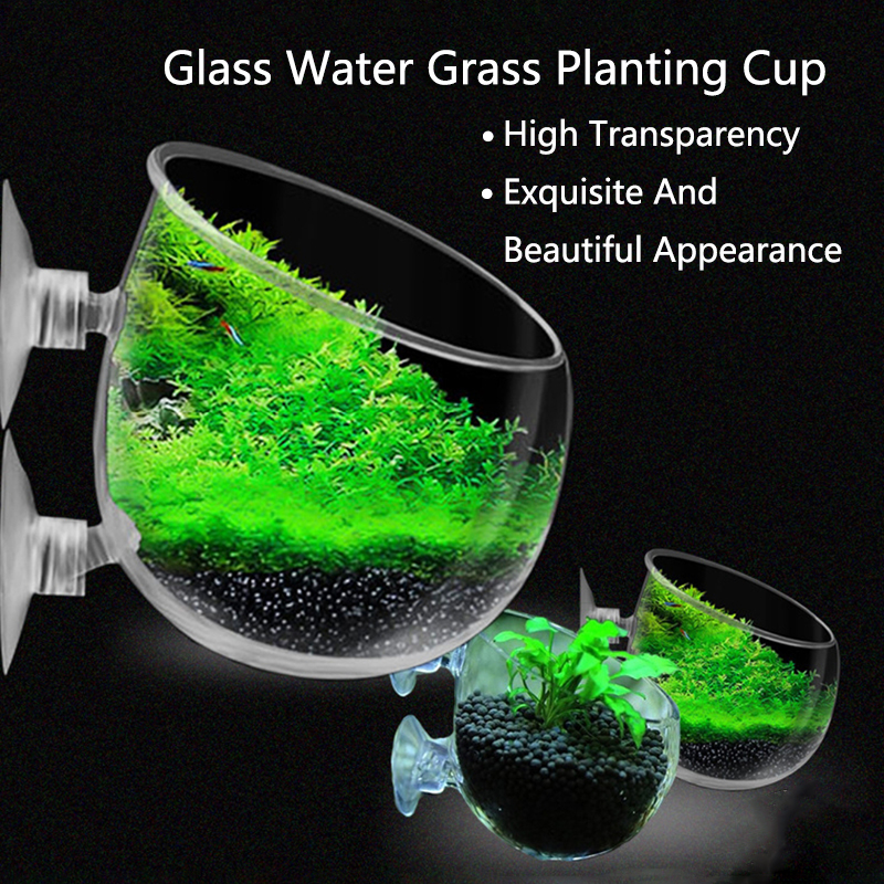 Glass Aquarium Decoration Hang – обзор и цена Aquarium Fish For Sale Online