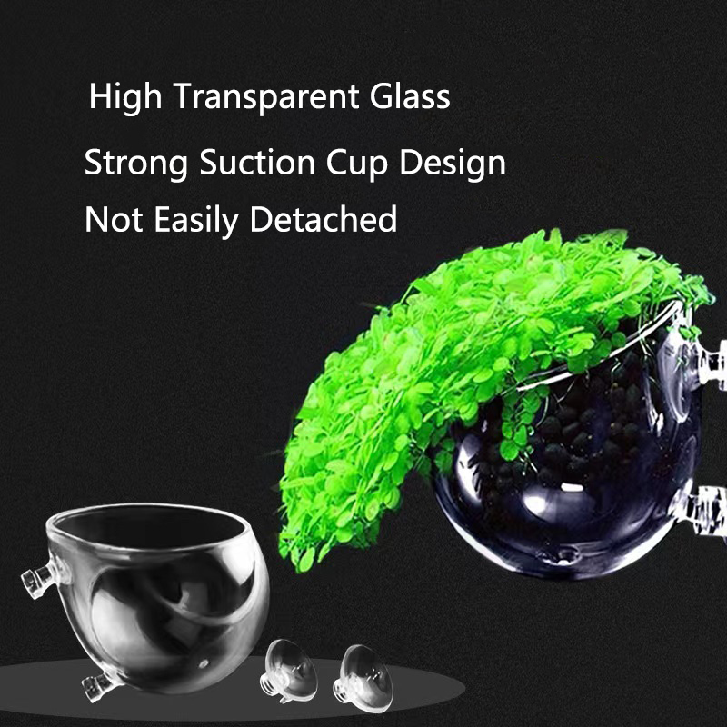 Glass Aquarium Decoration Hang – обзор и цена Aquarium Fish For Sale Online