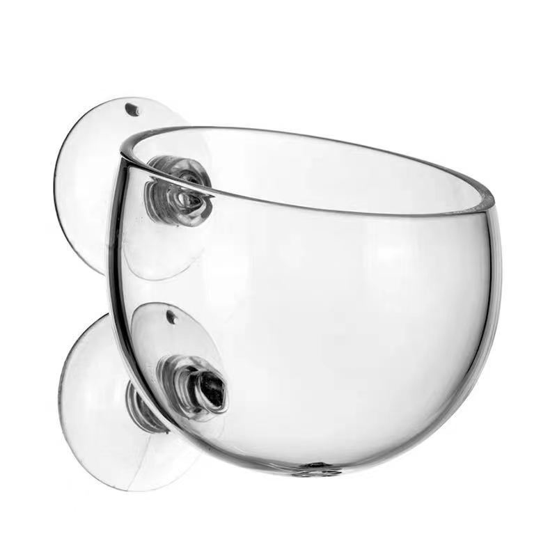 Glass Aquarium Decoration Hang – обзор и цена Aquarium Fish For Sale Online