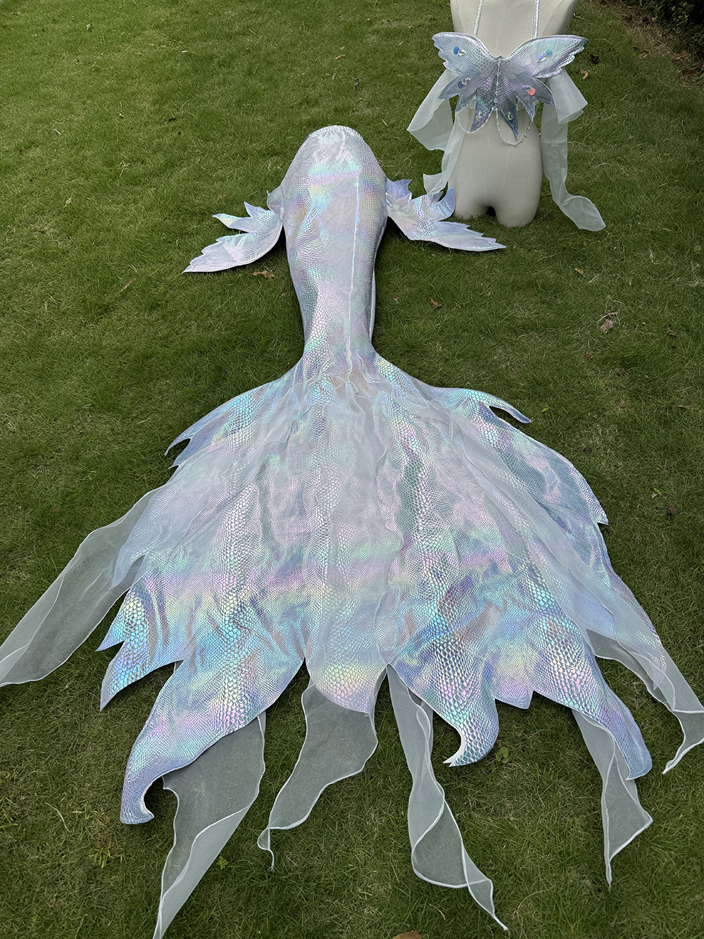 New Sky Angel Hot Stamped Big  – обзор и цена Aquarium Fish Angel