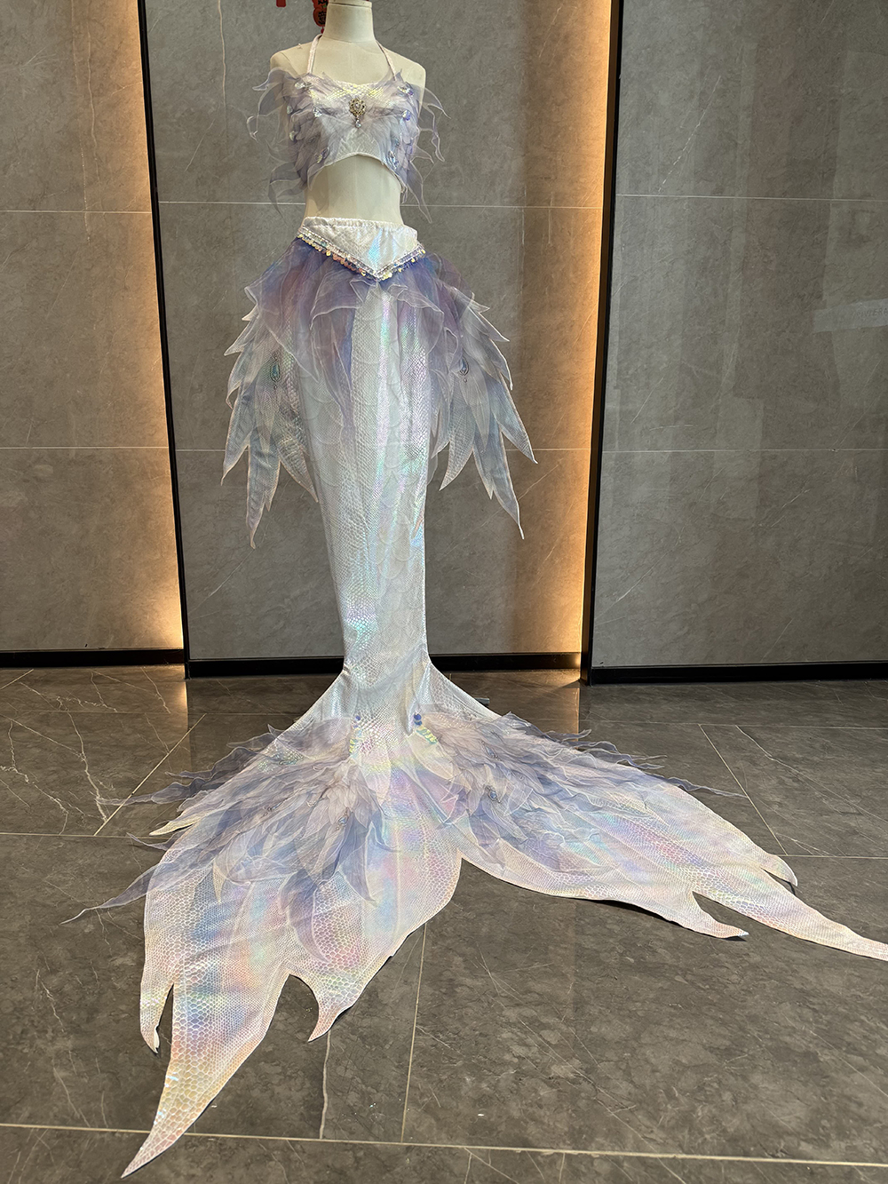 New Sky Angel Hot Stamped Big  – обзор и цена Aquarium Fish Angel