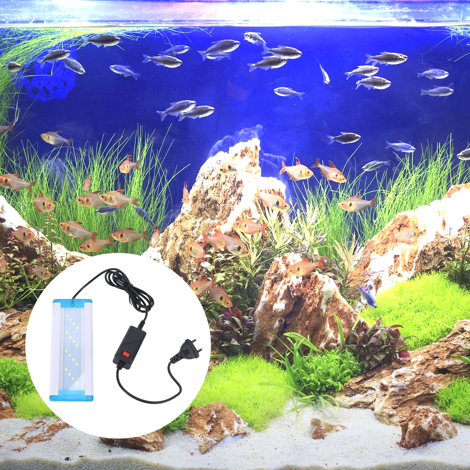 1Pcs Ultra-Thin Aquarium LED L – обзор и цена Aquarium Fish With Long Lifespan