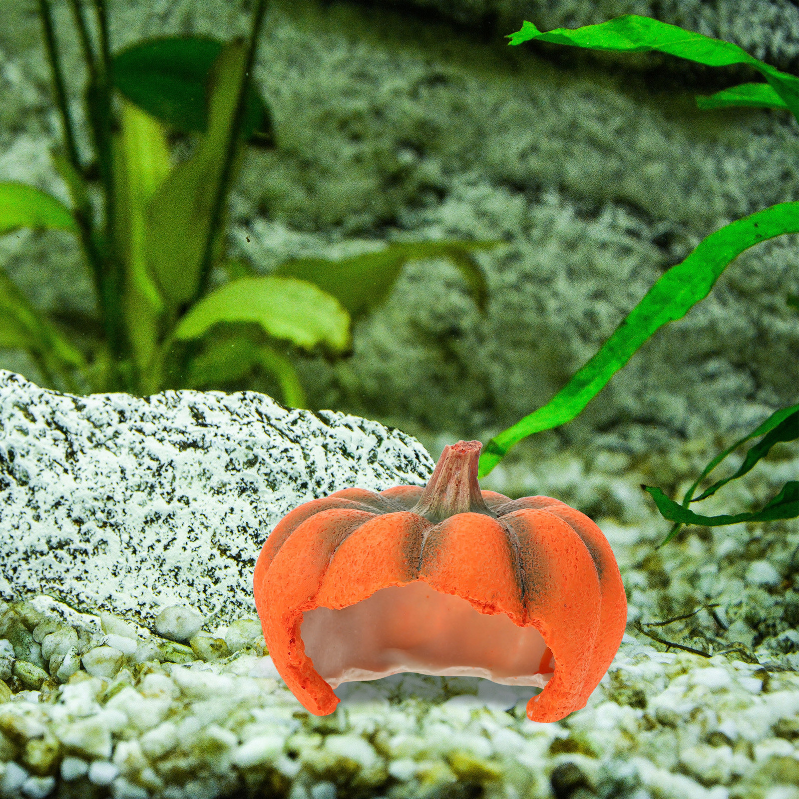 Pumpkin Aquarium Decor Yellow  – обзор и цена Aquarium Fish Yellow