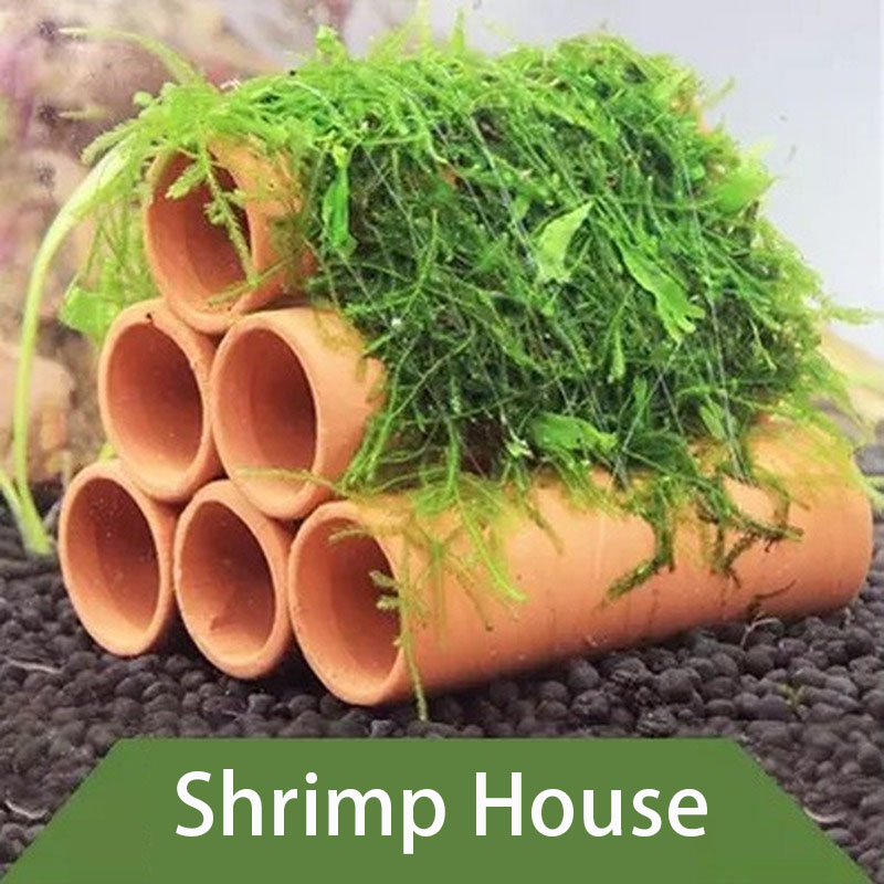 Clay Aquarium Decoration Fish  – обзор и цена Aquarium Fish For Sale Online