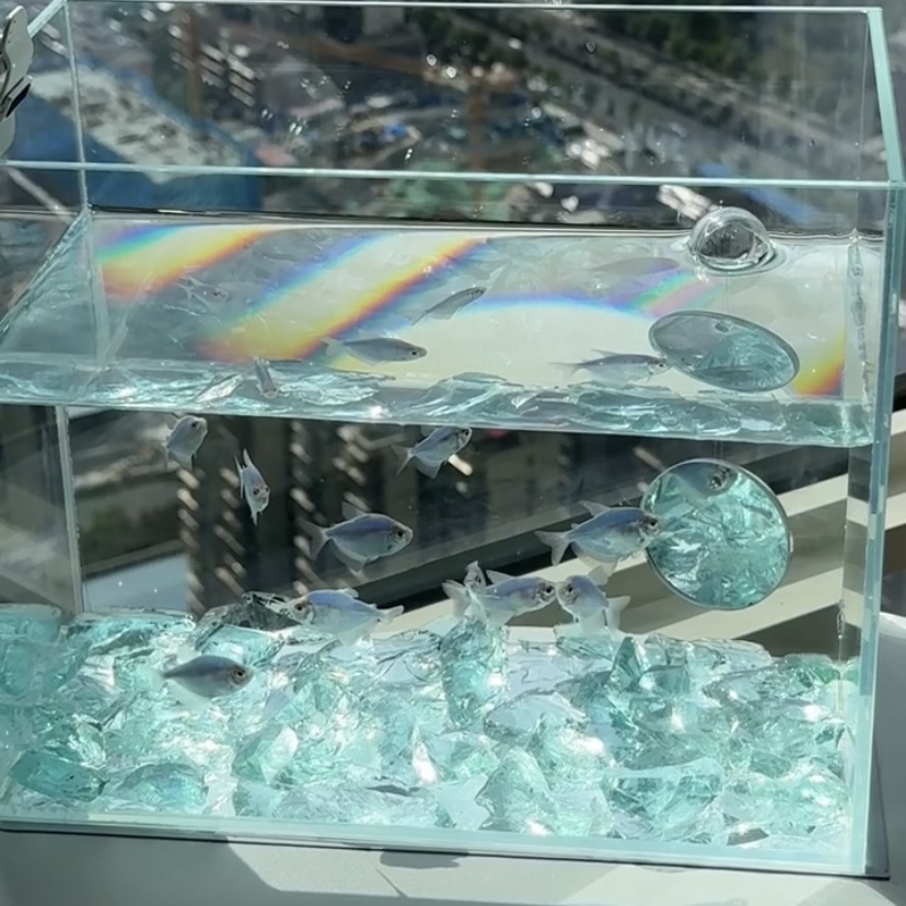 Natural Crystal Stone Angel De – обзор и цена Aquarium Fish Angel