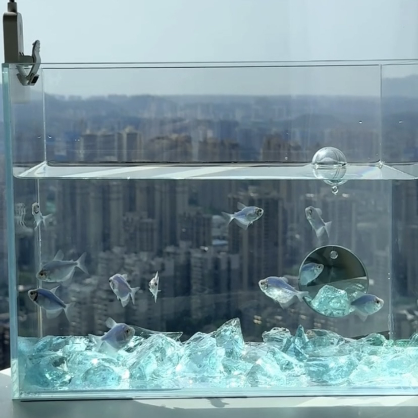 Natural Crystal Stone Angel De – обзор и цена Aquarium Fish Angel